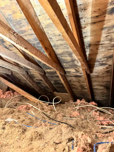 Mold staining across attic rafters and roof sheathing above loose insulation