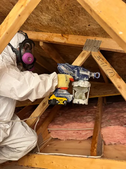 Technician spraying the attic roof deck during mold remediation