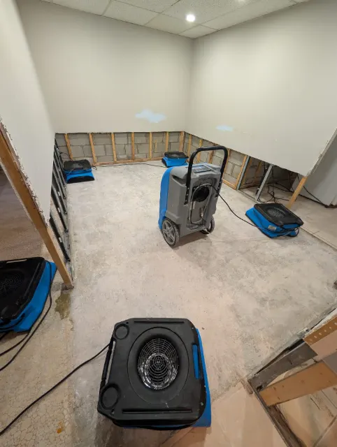 LGR dehumidifier and air movers in a basement with the lower drywall removed