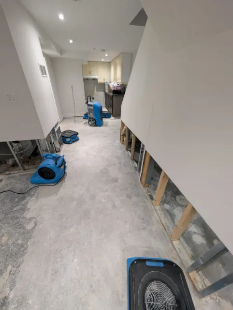 Long basement with flood-cut walls and air movers