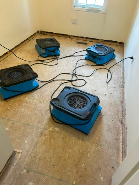 Four air movers drying a small room subfloor after the flooring and baseboards were removed