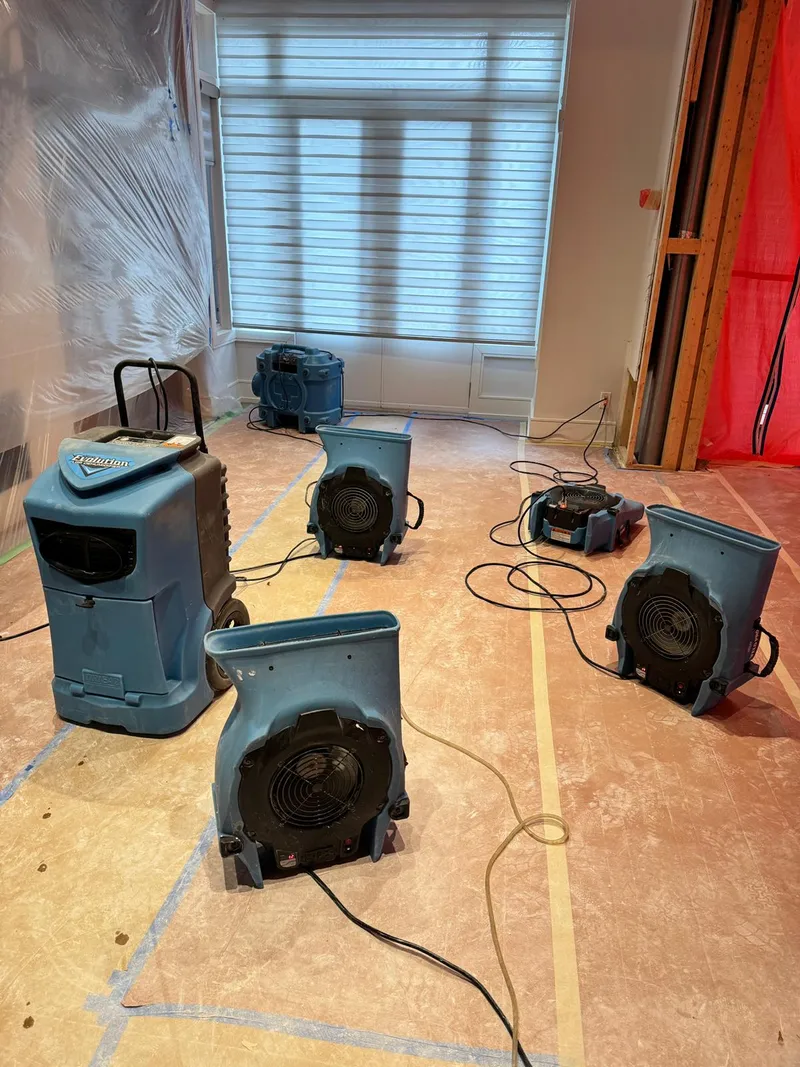 Commercial LGR dehumidifier and four air movers drying a North York basement