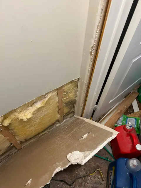 Flood-cut drywall exposing wet, mold-stained insulation beside a closet door