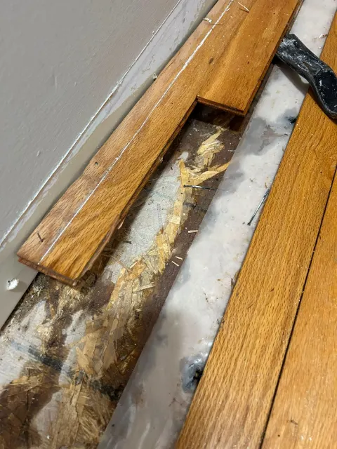 Hardwood boards lifted along a wall to expose a water-stained subfloor