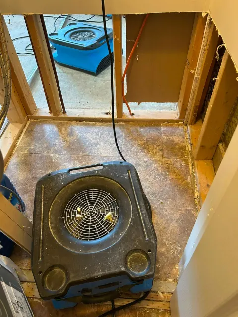 Laundry room wall opened to the studs and supply lines, with air movers drying the floor